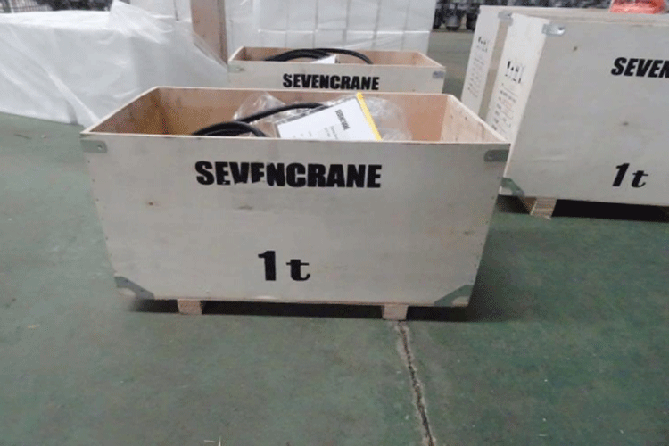 vendo paranco elettrico
